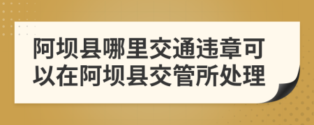 阿壩縣哪里交通違章可以在阿壩縣交管所處理