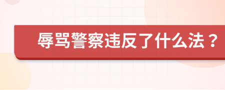 辱罵警察違反了什么法？