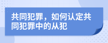 共同犯罪，如何認定共同犯罪中的從犯