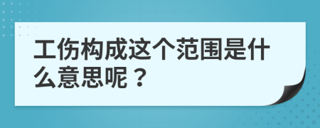 工傷構(gòu)成這個(gè)范圍是什么意思呢？