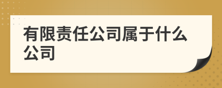 有限責(zé)任公司屬于什么公司