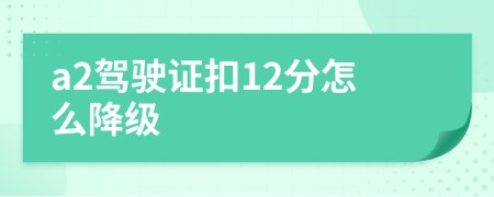 a2駕駛證扣12分怎么降級(jí)