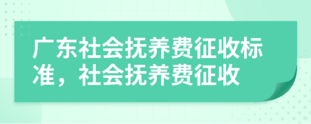 廣東社會撫養(yǎng)費征收標(biāo)準(zhǔn)，社會撫養(yǎng)費征收
