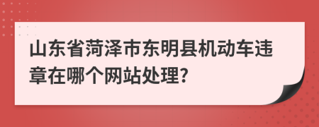 山東省菏澤市東明縣機動車違章在哪個網站處理?