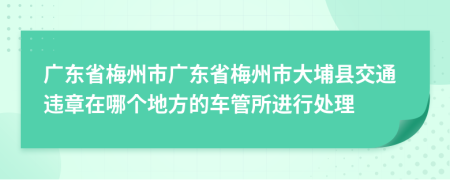 廣東省梅州市廣東省梅州市大埔縣交通違章在哪個(gè)地方的車管所進(jìn)行處理