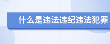 什么是違法違紀(jì)違法犯罪