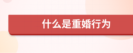 什么是重婚行為