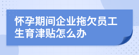 懷孕期間企業(yè)拖欠員工生育津貼怎么辦