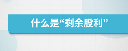 什么是“剩余股利”