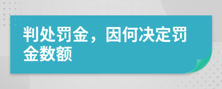 判處罰金，因何決定罰金數(shù)額