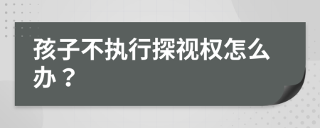 孩子不執(zhí)行探視權(quán)怎么辦？