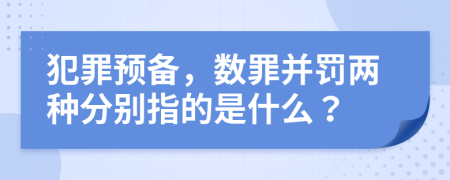 犯罪預(yù)備，數(shù)罪并罰兩種分別指的是什么？