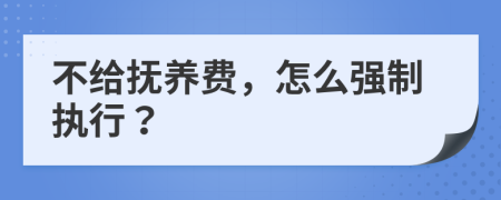 不給撫養(yǎng)費(fèi)，怎么強(qiáng)制執(zhí)行？