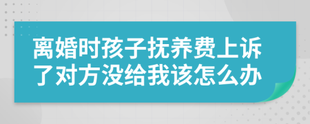 離婚時孩子撫養(yǎng)費上訴了對方?jīng)]給我該怎么辦