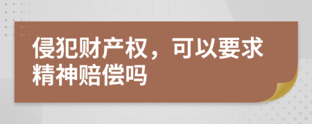 侵犯財(cái)產(chǎn)權(quán)，可以要求精神賠償嗎