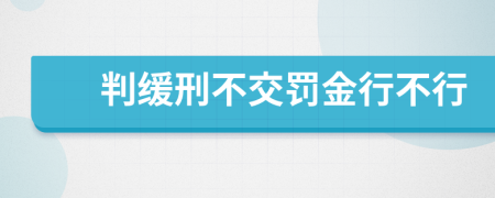 判緩刑不交罰金行不行