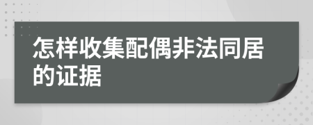 怎樣收集配偶非法同居的證據(jù)