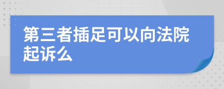 第三者插足可以向法院起訴么