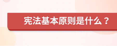 憲法基本原則是什么？
