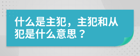 什么是主犯，主犯和從犯是什么意思？