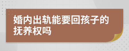 婚內(nèi)出軌能要回孩子的撫養(yǎng)權(quán)嗎