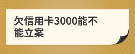 欠信用卡3000能不能立案