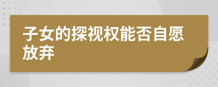 子女的探視權(quán)能否自愿放棄