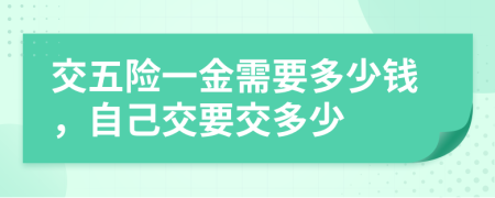 交五險一金需要多少錢，自己交要交多少