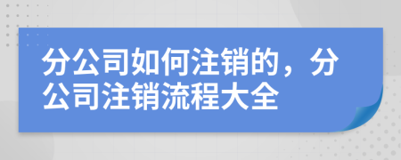 分公司如何注銷的，分公司注銷流程大全