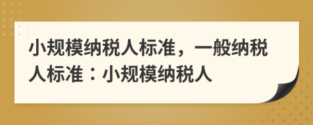 小規(guī)模納稅人標準，一般納稅人標準：小規(guī)模納稅人