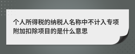 個人所得稅的納稅人名稱中不計入專項附加扣除項目的是什么意思