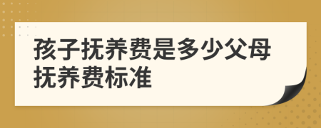 孩子撫養(yǎng)費是多少父母撫養(yǎng)費標準