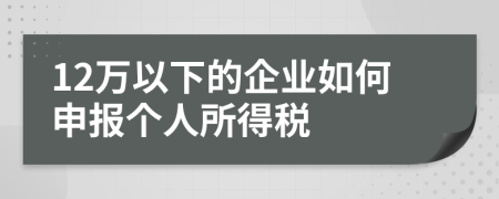 12萬(wàn)以下的企業(yè)如何申報(bào)個(gè)人所得稅