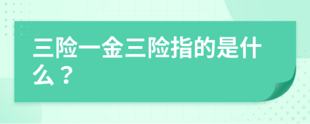 三險(xiǎn)一金三險(xiǎn)指的是什么？