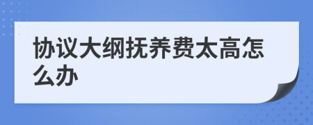 協(xié)議大綱撫養(yǎng)費(fèi)太高怎么辦