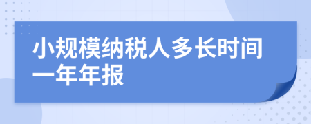 小規(guī)模納稅人多長時間一年年報