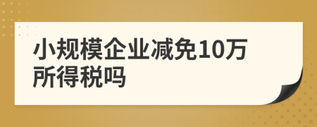 小規(guī)模企業(yè)減免10萬(wàn)所得稅嗎