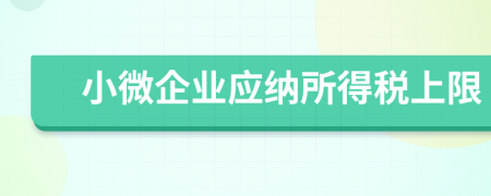小微企業(yè)應(yīng)納所得稅上限
