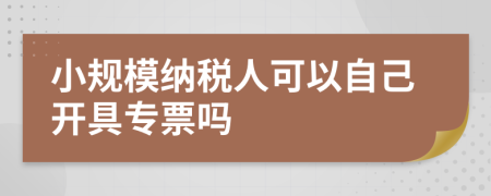 小規(guī)模納稅人可以自己開具專票嗎