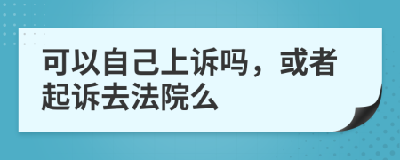 可以自己上訴嗎，或者起訴去法院么