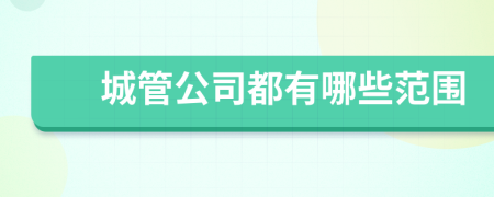 城管公司都有哪些范圍