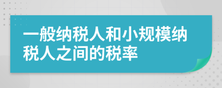 一般納稅人和小規(guī)模納稅人之間的稅率