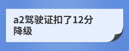 a2駕駛證扣了12分降級