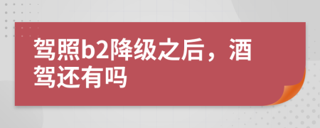 駕照b2降級(jí)之后，酒駕還有嗎