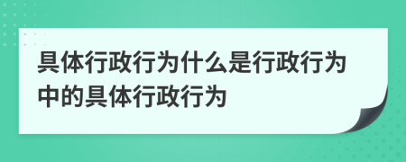 具體行政行為什么是行政行為中的具體行政行為