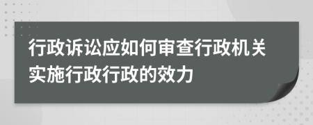 行政訴訟應(yīng)如何審查行政機(jī)關(guān)實(shí)施行政行政的效力