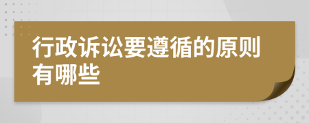 行政訴訟要遵循的原則有哪些