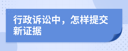行政訴訟中，怎樣提交新證據(jù)