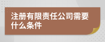 注冊有限責任公司需要什么條件