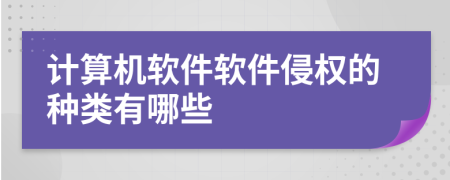 計(jì)算機(jī)軟件軟件侵權(quán)的種類(lèi)有哪些